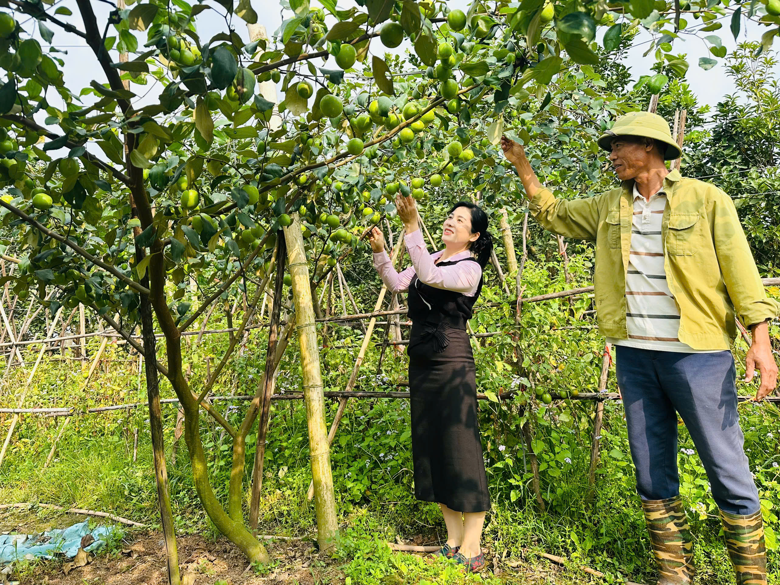 Nguồn vốn tín dụng chính sách của Ngân hàng CSXH Kim Động - Đồng hành cùng người dân, đòn bẩy phát triển kinh tế, bảo đảm an sinh xã hội