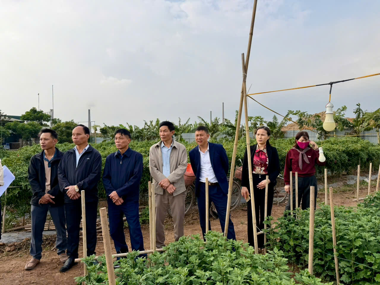 UBND xã Hiệp Cường tổ chức Hội nghị đầu bờ - mô hình trồng hoa ứng dụng công nghệ cao